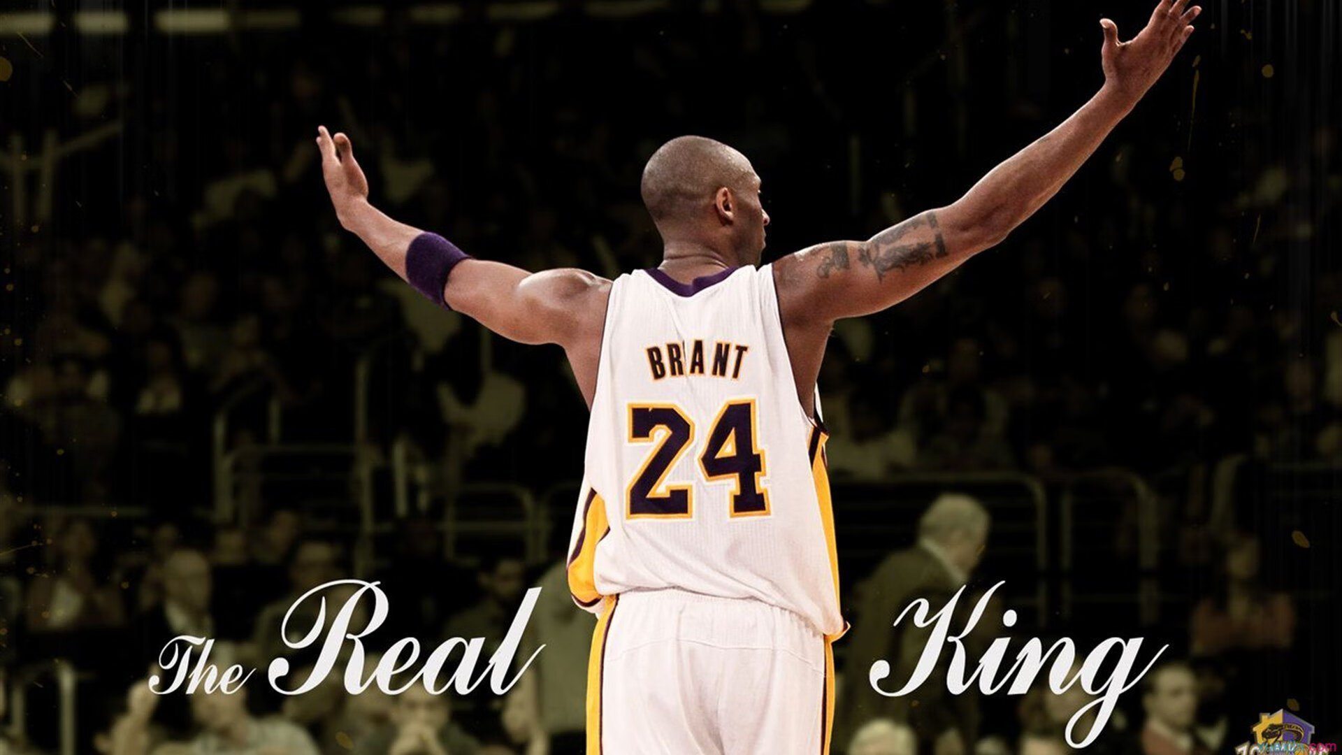 _未来智慧运动社区:全民共享运动空间_,ai未来运动馆