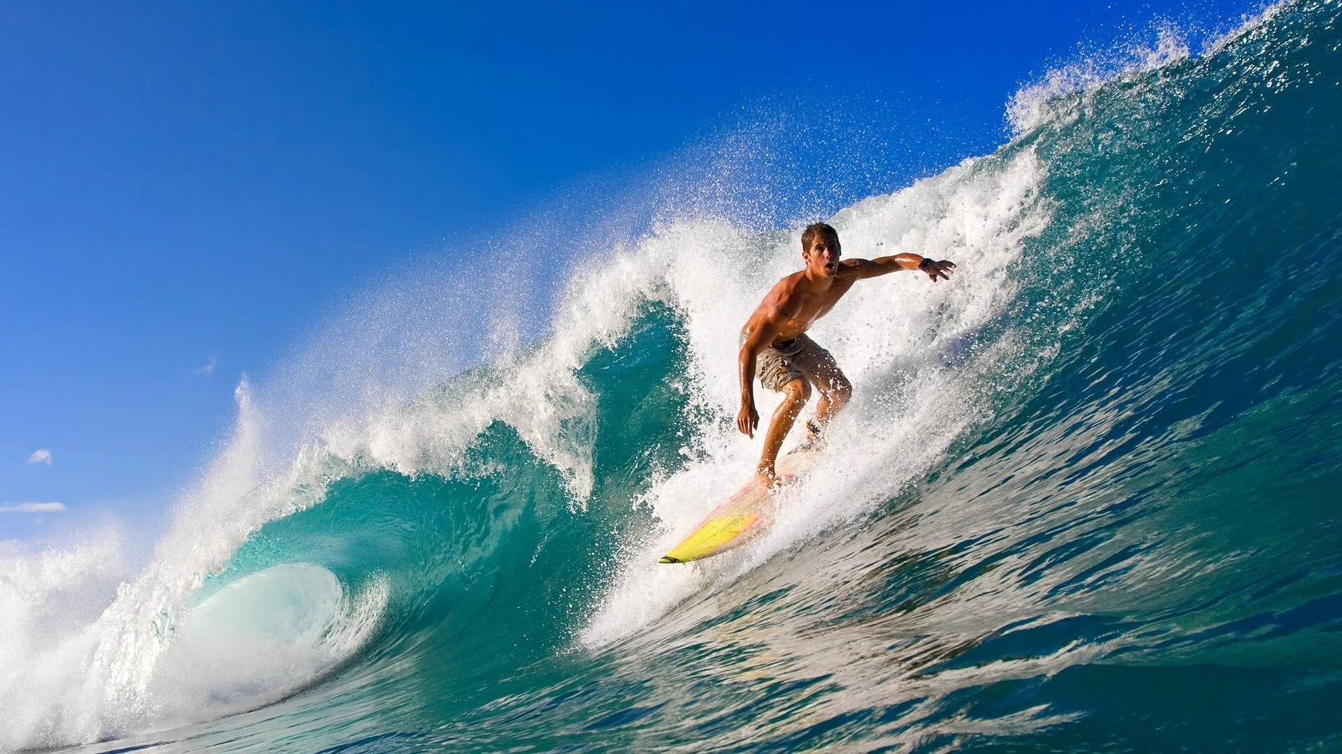 kaiyun网站-_未来运动时尚秀：科技服饰引领新风潮_，未来科技时装设计灵感说明