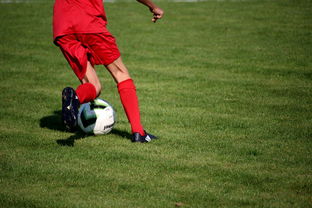 开云体育登录-中国篮球青年运动员选拔体系研究，中国篮球国家青年队选拔方式