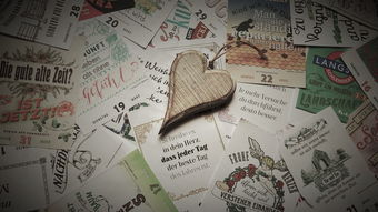 开云体育登入口-英超青训心理训练促进抗压能力发展的实证研究，英超青训怎么算